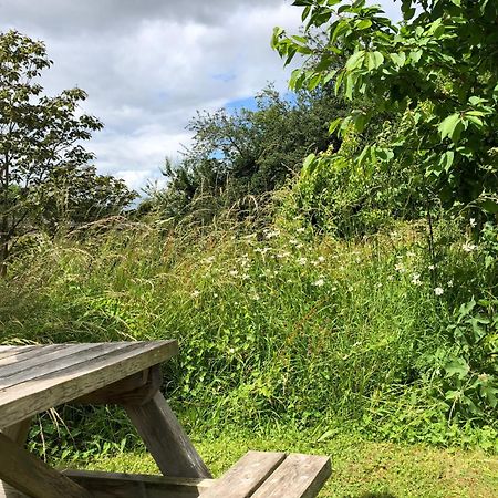 The Steppes Holiday Cottages Hereford Bagian luar foto