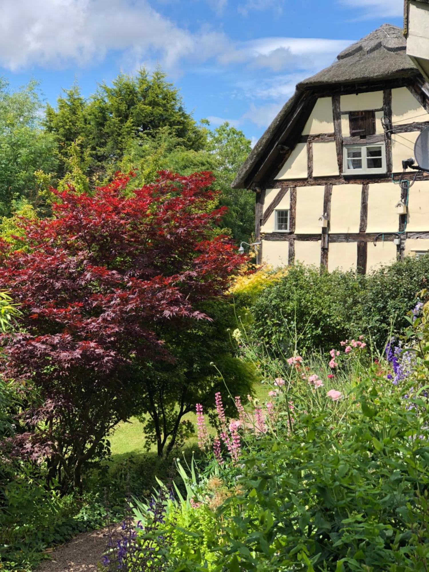 The Steppes Holiday Cottages Hereford Bagian luar foto