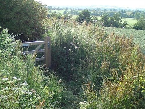 The Steppes Holiday Cottages Hereford Bagian luar foto