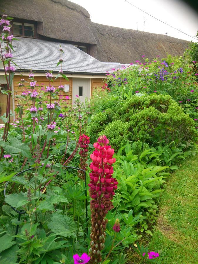 The Steppes Holiday Cottages Hereford Bagian luar foto